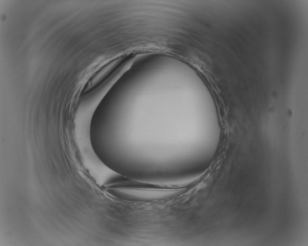 X0000055990193200509021647