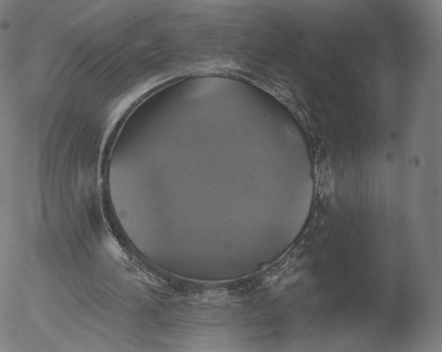 X0000055990196200509021647