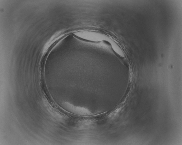 X0000055990198200509021647