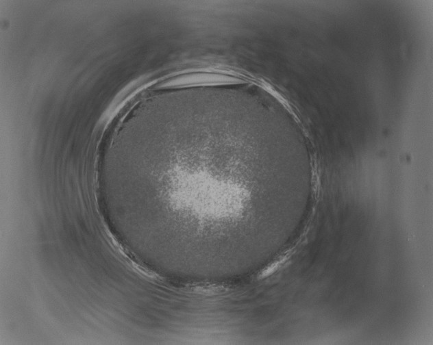 X0000055990199200509021647