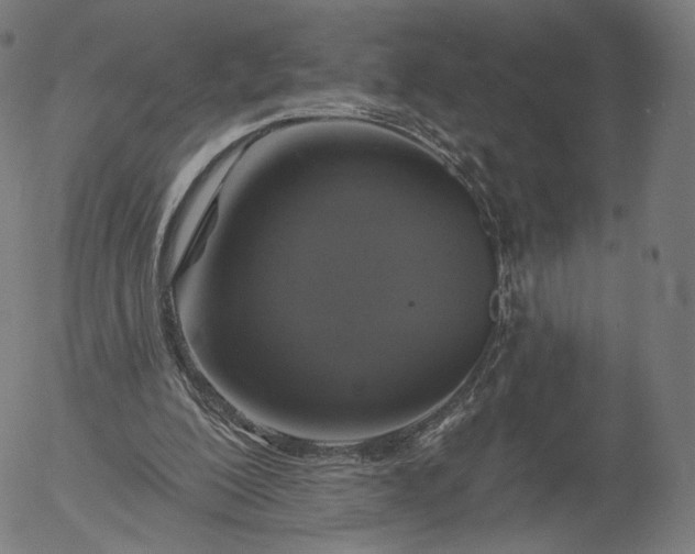 X0000055990200200509021647