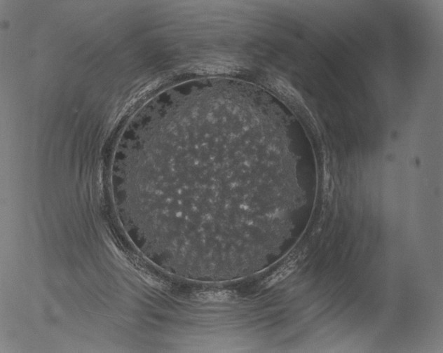 X0000055990202200509021647