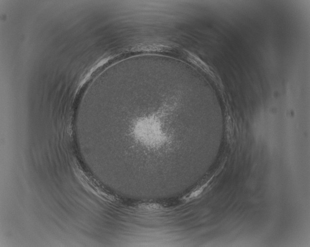 X0000055990203200509021647