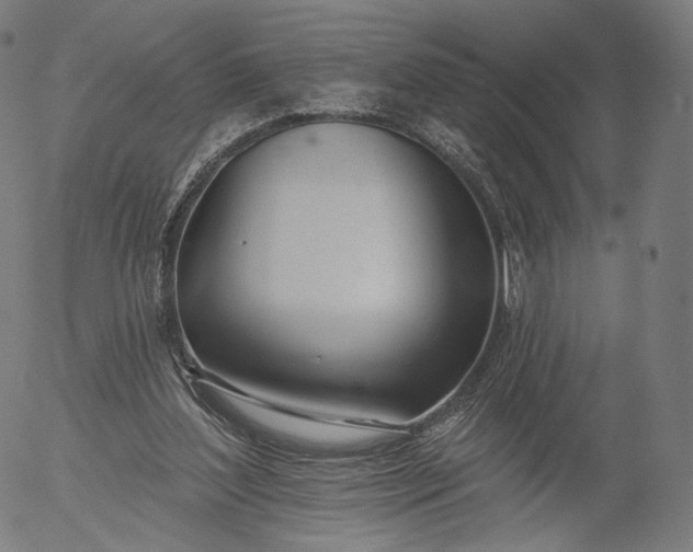 X0000055990204200509021647