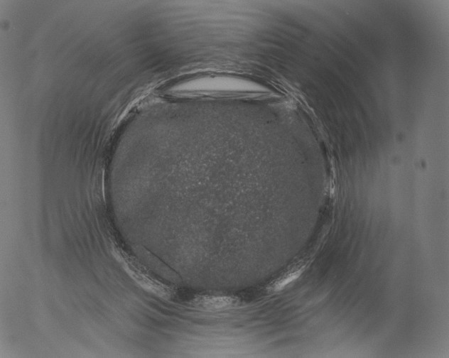 X0000055990205200509021647