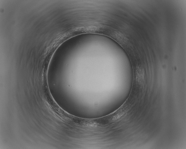 X0000055990206200509021647