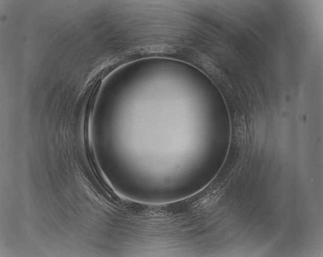 X0000055990207200509021647