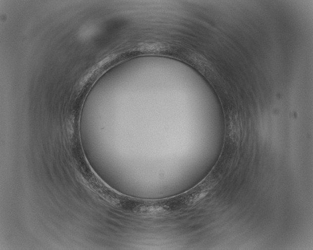 X0000055990208200509021647