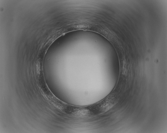 X0000055990210200509021647