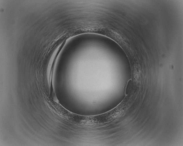 X0000055990211200509021647