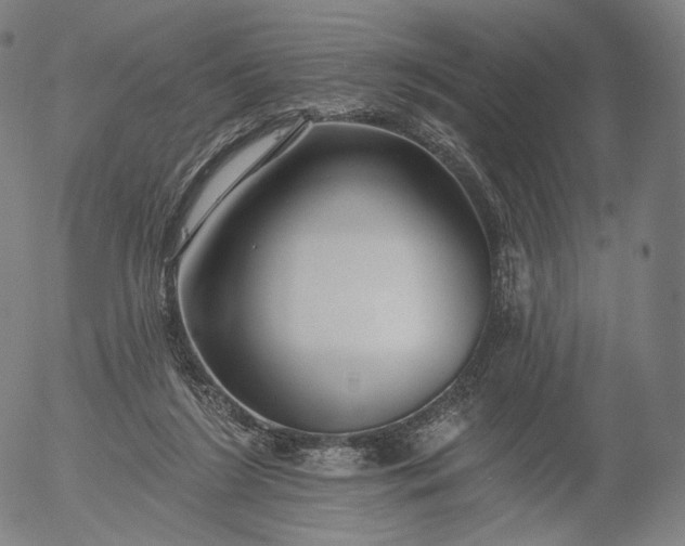 X0000055990212200509021647