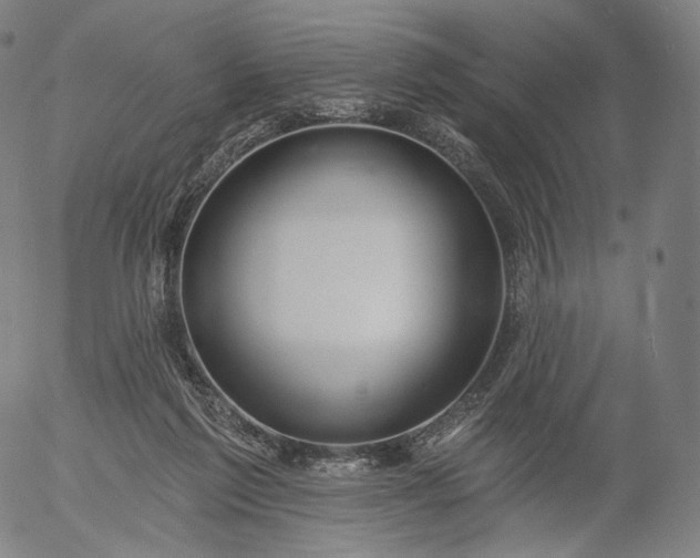 X0000055990213200509021647