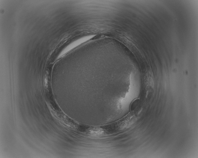 X0000055990214200509021647