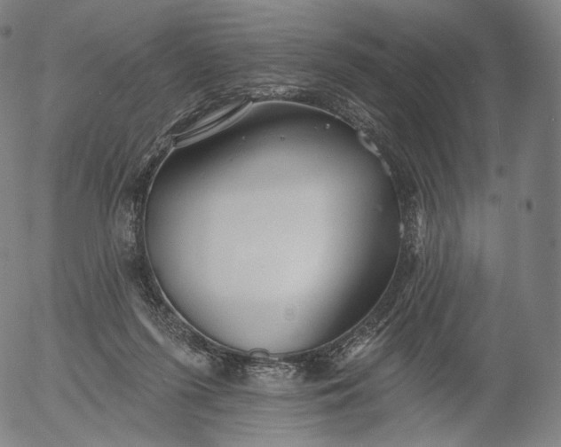 X0000055990215200509021647