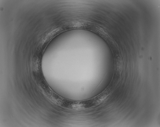 X0000055990216200509021647