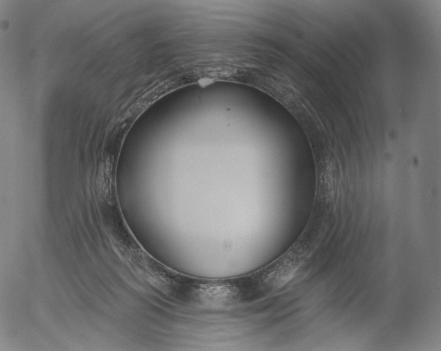 X0000055990218200509021647