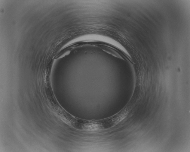 X0000055990219200509021647