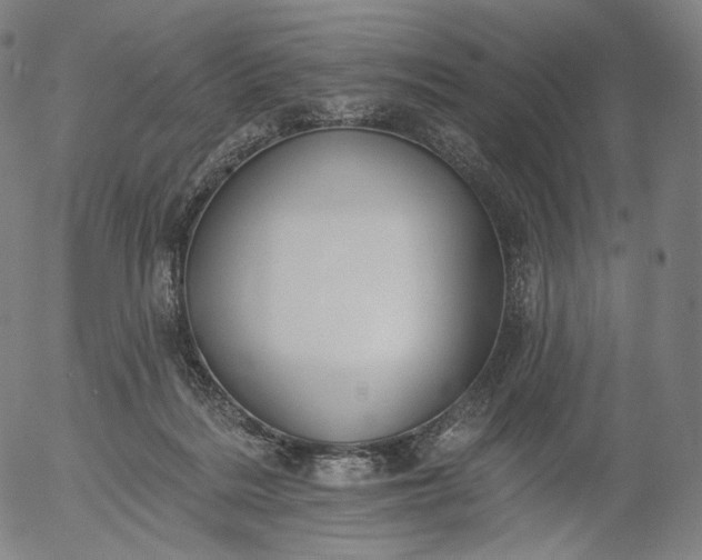 X0000055990220200509021646