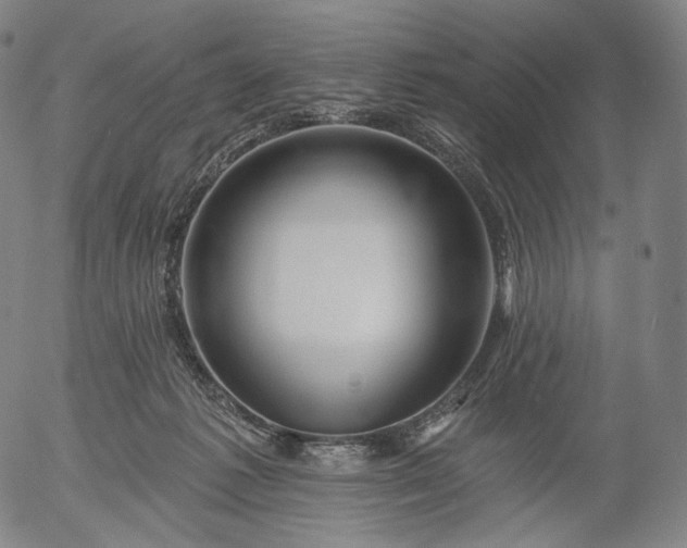 X0000055990221200509021646