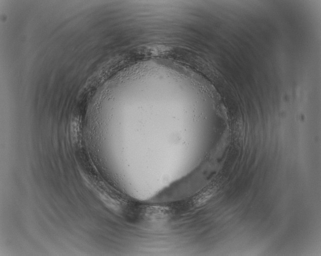 X0000055990222200509021646