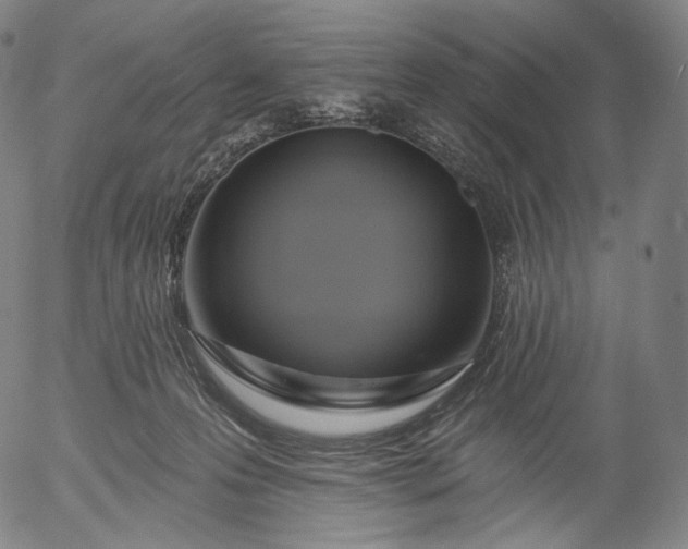 X0000055990223200509021646