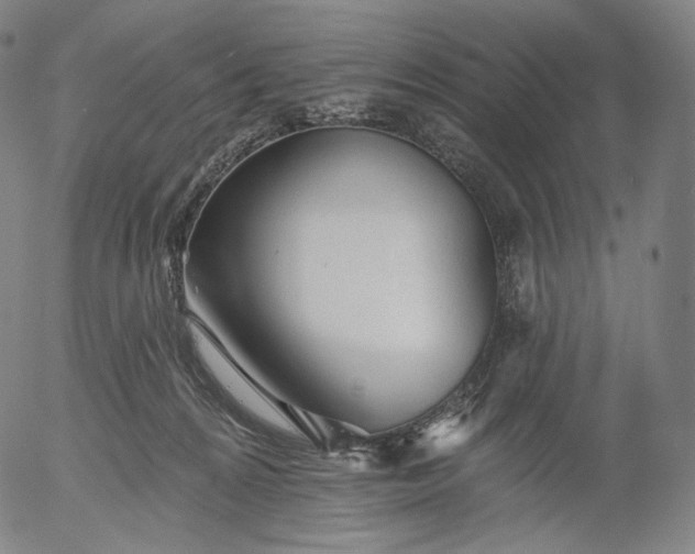 X0000055990224200509021646