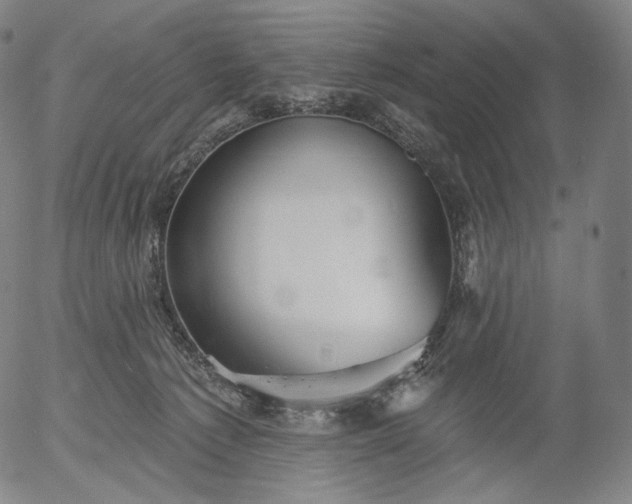 X0000055990225200509021646