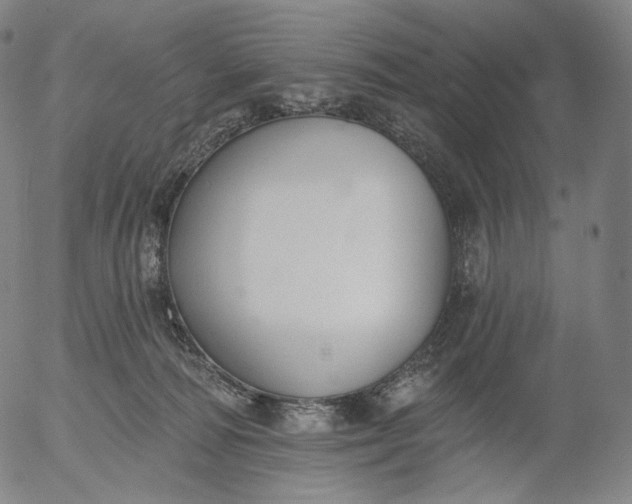 X0000055990226200509021646