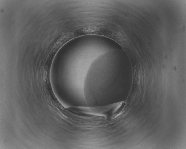 X0000055990227200509021646