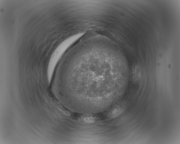 X0000055990228200509021646