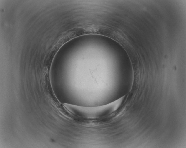 X0000055990229200509021646