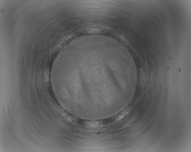 X0000055990230200509021646