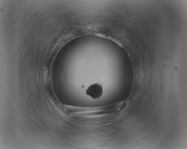 X0000055990231200509021646