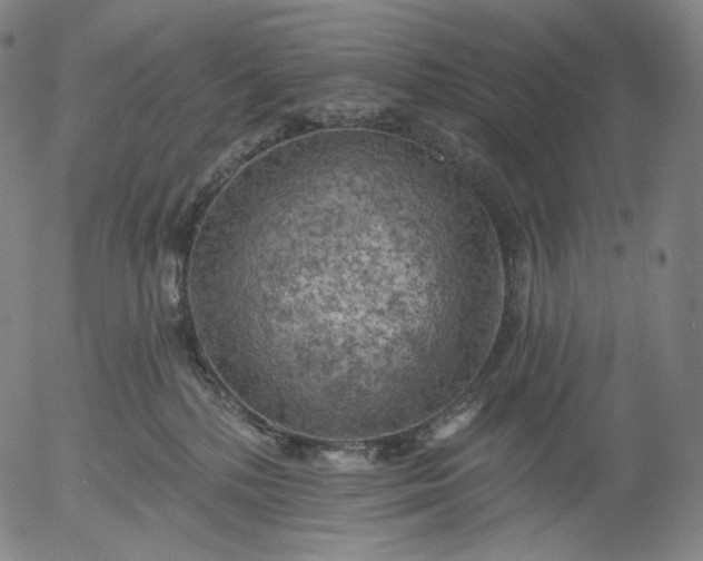 X0000055990232200509021646