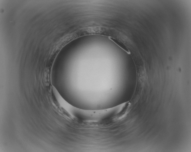 X0000055990233200509021646