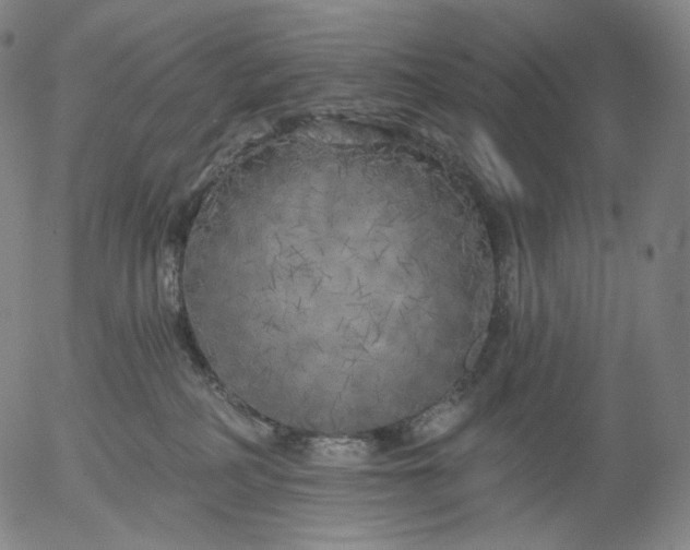 X0000055990234200509021646