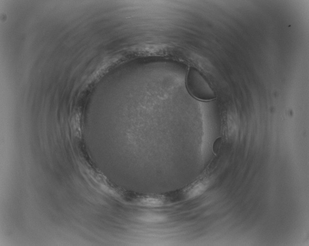 X0000055990236200509021646