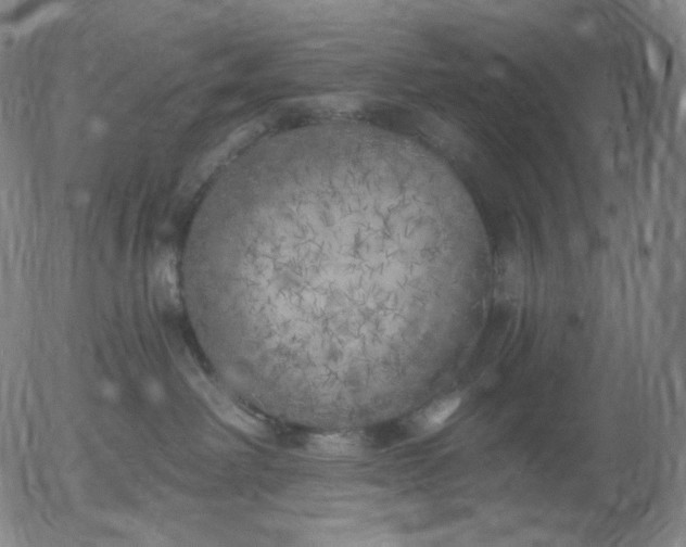 X0000055990238200509021646