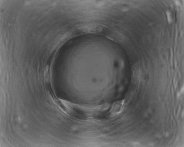 X0000055990239200509021646