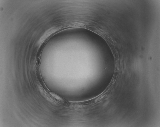 X0000055990242200509021645