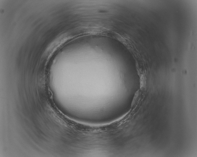 X0000055990243200509021645