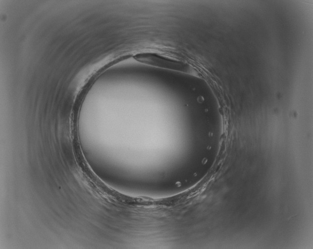 X0000055990244200509021645