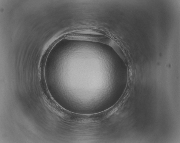 X0000055990246200509021645