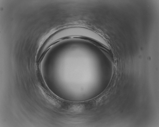 X0000055990248200509021645