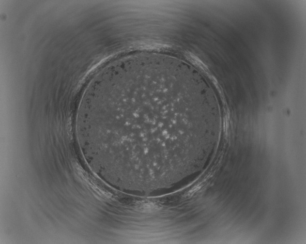 X0000055990249200509021645