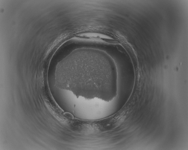 X0000055990250200509021646