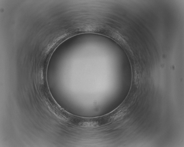 X0000055990251200509021646