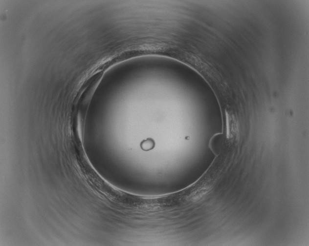 X0000055990252200509021646