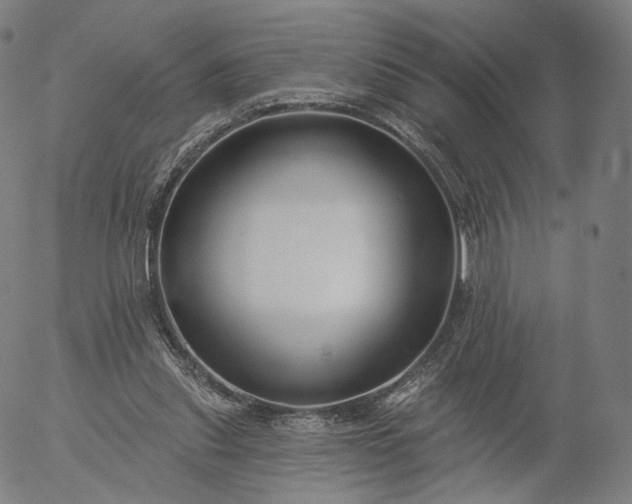 X0000055990253200509021646