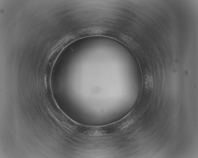 X0000055990254200509021646